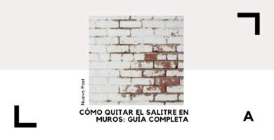 Salitre en Muros