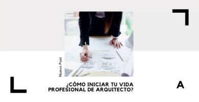 Vida profesional