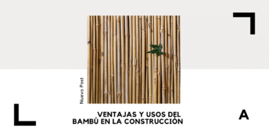 bambú
