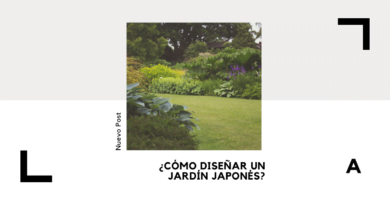 jardín japonés