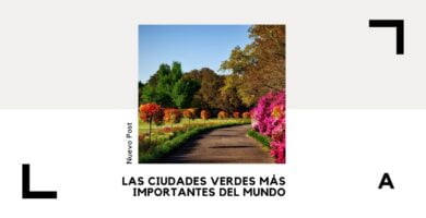 Ciudades Verdes: Guía de Urbanismo Sustentable 9 ciudades verdes