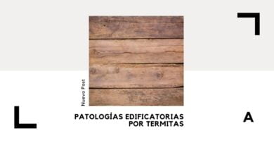 Termitas en Casa: Cómo Detectar, Eliminar y Prevenir Daños 9 termitas
