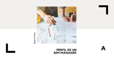 BIM Manager: Perfil, Funciones y Cómo Llegar a Serlo 15 Perfil de un BIM MANAGER