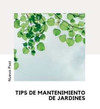 Mantenimiento de Jardines: Guía Completa 3 mantenimiento de jardínes