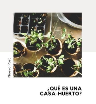 Qué Es Una Casa Huerto y Cómo Diseñarla Correctamente 2 casa-huerto
