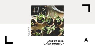 Qué Es Una Casa Huerto y Cómo Diseñarla Correctamente 30 casa-huerto