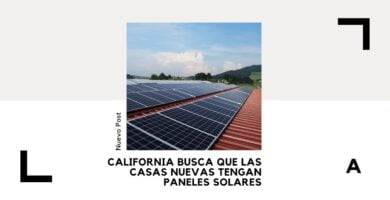 paneles solares