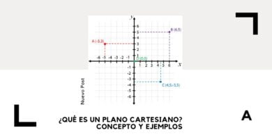 Plano cartesiano