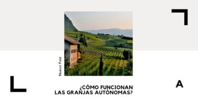 Granja Autónoma: Cómo Diseñarla y Cómo Funciona 14 Granja autónoma