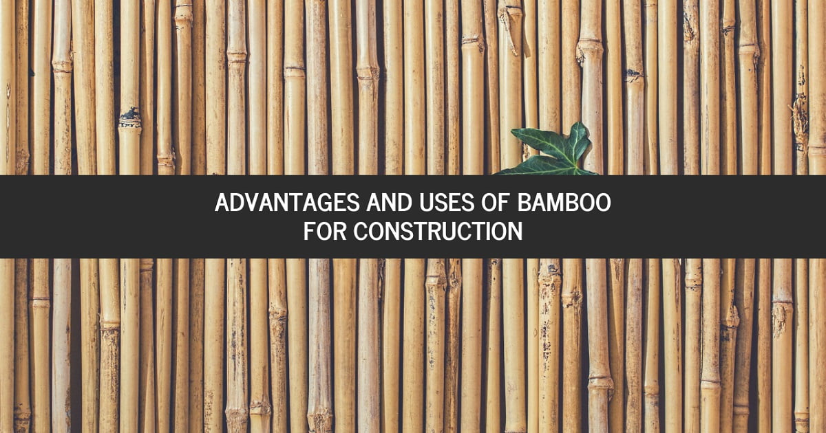 bamboo for construction