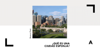 ciudad esponja