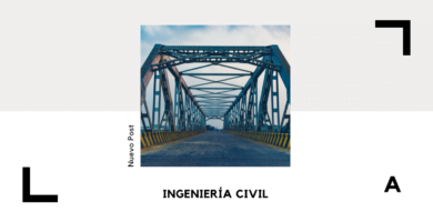 Ingenier&iacute;a Civil