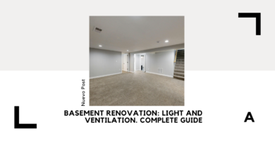 Basement Renovation