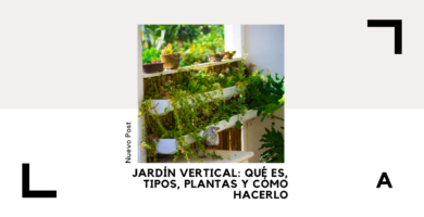Jard&iacute;n Vertical