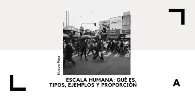 Escala Humana