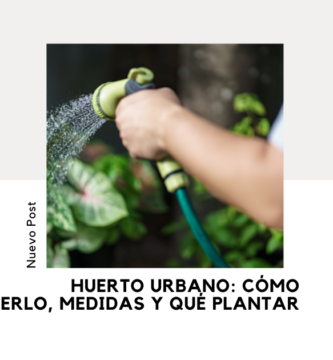 Huerto Urbano
