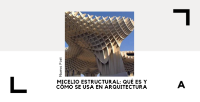 Micelio Estructural
